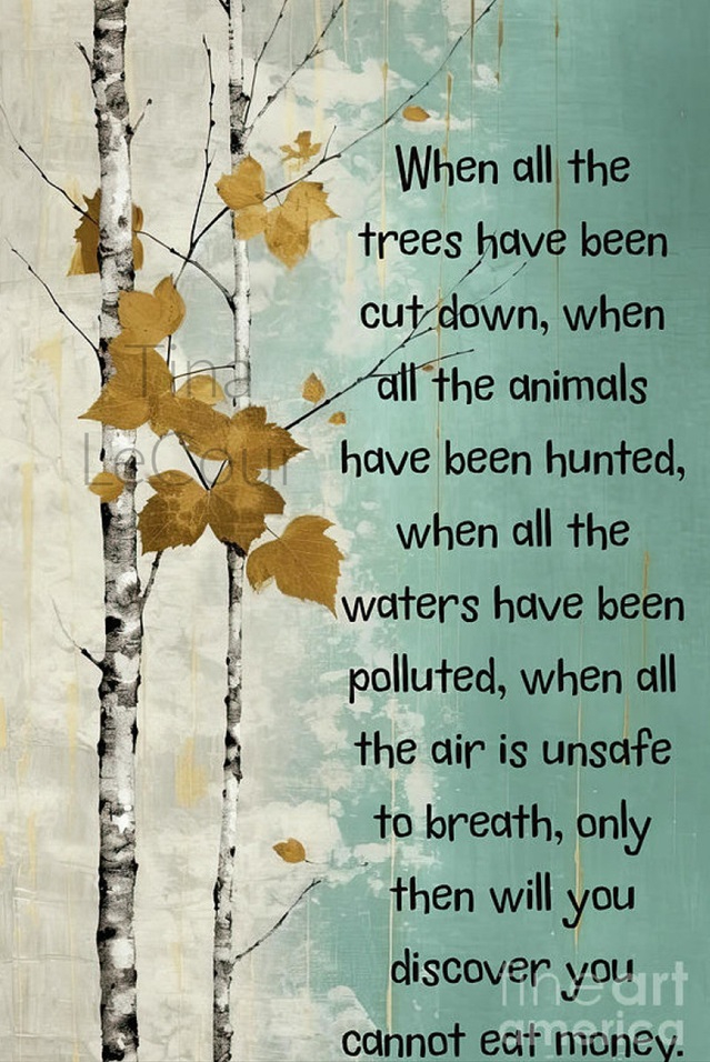 Image: https://us-noi.v-cdn.net/6031891/uploads/editor/zb/rah68m9u1t5u.jpg