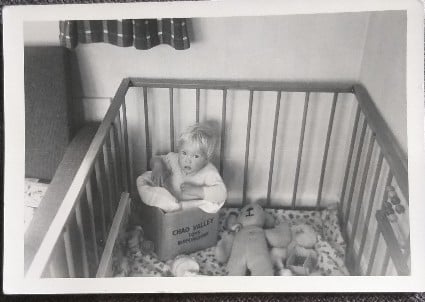 Image: https://us-noi.v-cdn.net/6031891/uploads/editor/zw/7xz9jxdrgt4t.jpg