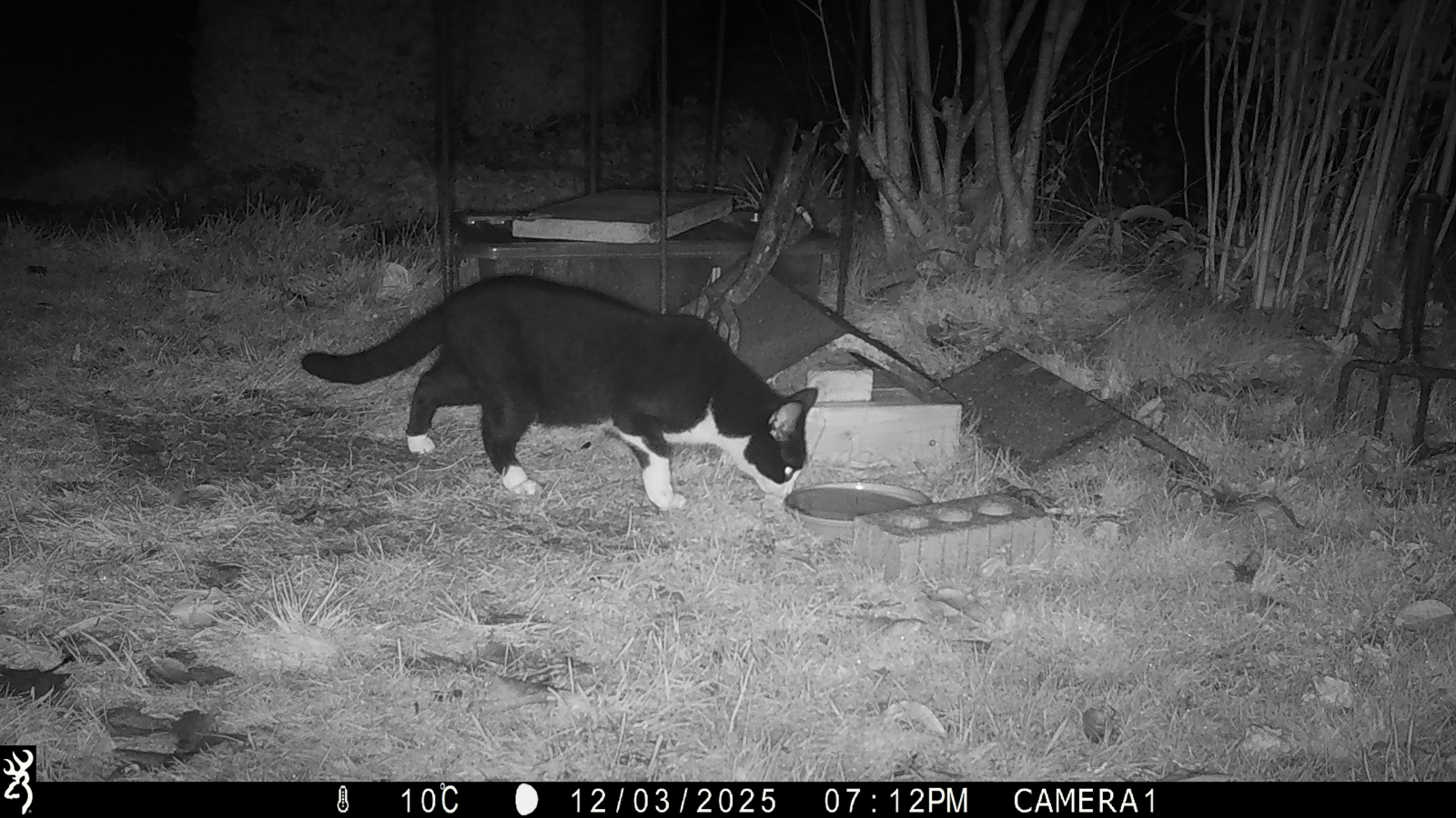 Image: https://us-noi.v-cdn.net/6031891/uploads/editor/zz/9h23b237hltw.jpg