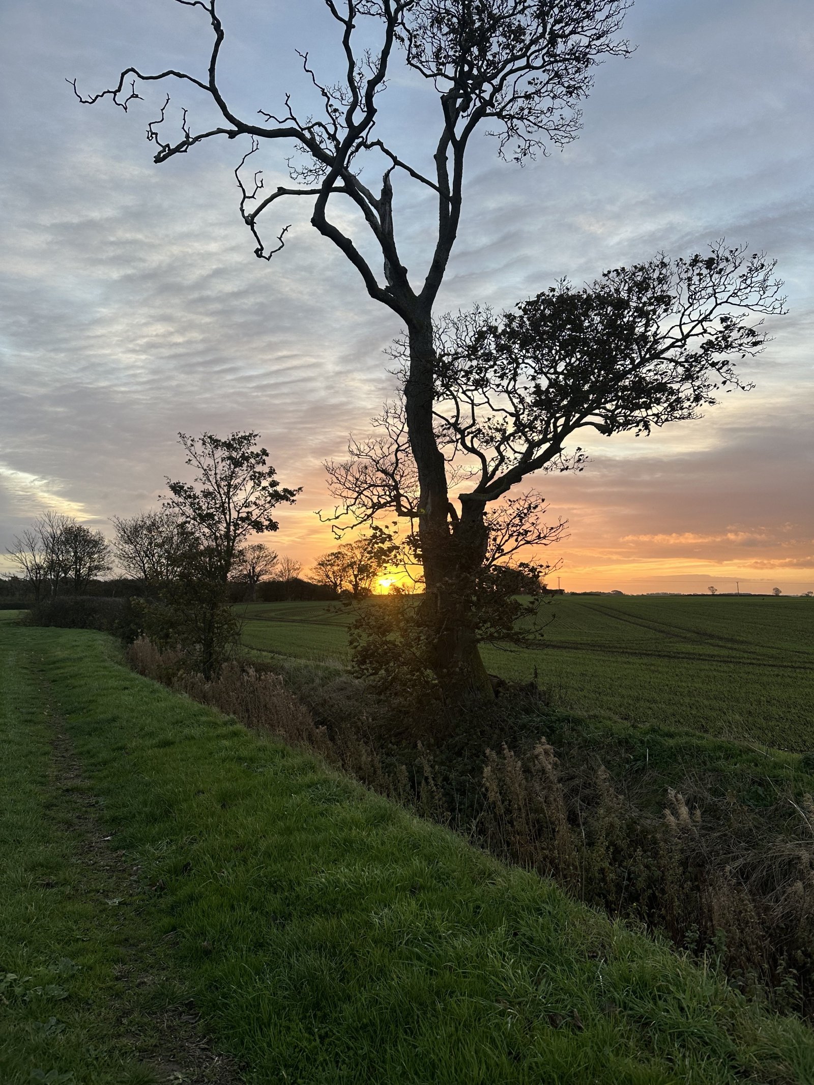 Image: https://us-noi.v-cdn.net/6031891/uploads/editor/zz/ez1a3dwb1egq.jpeg