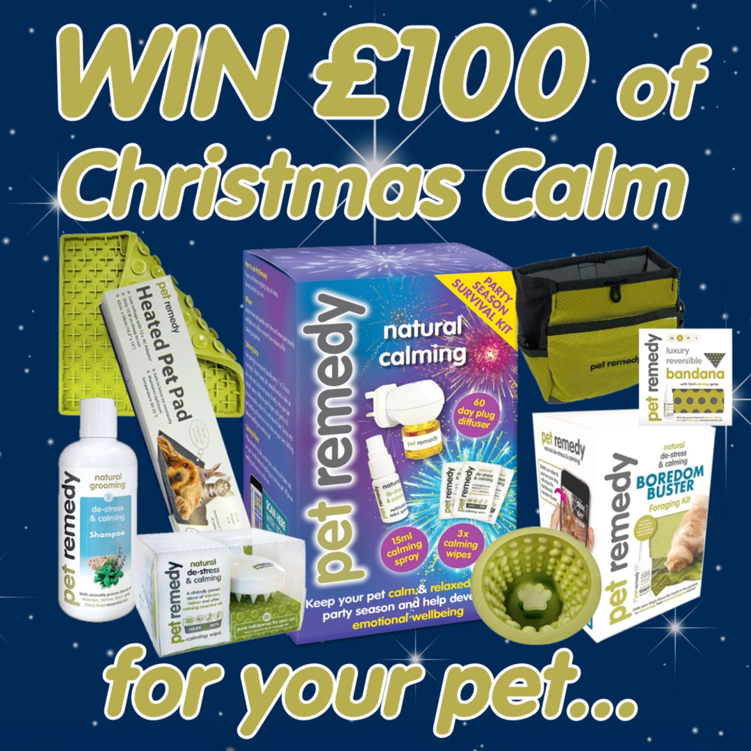 Image: https://us-noi.v-cdn.net/6031891/uploads/editor/zz/ij9ulmdl134o.png