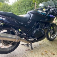 courier9585