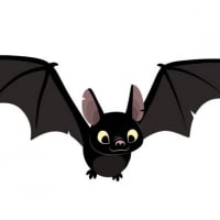 Bats