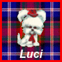 luci