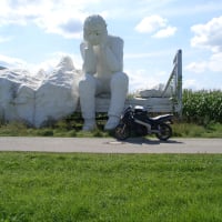 BikingBud
