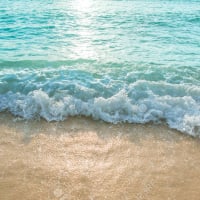 BeachWaves
