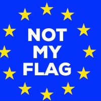 Brexit_Fan
