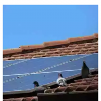 SolarAssistance123