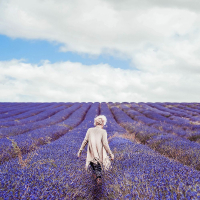 LadyInLavender