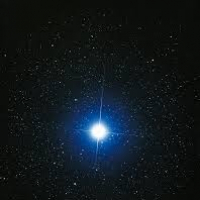 Doggstar