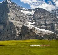 Jungfrauyearning