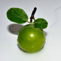 Greengage