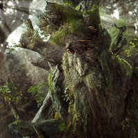 Fangorn_