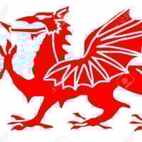 fatwelshbuddha