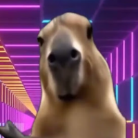 DancingCapybara