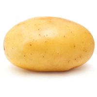 SpudNugget